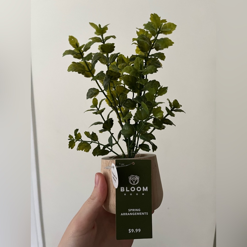JoAnn’s Faux Plant, NWT